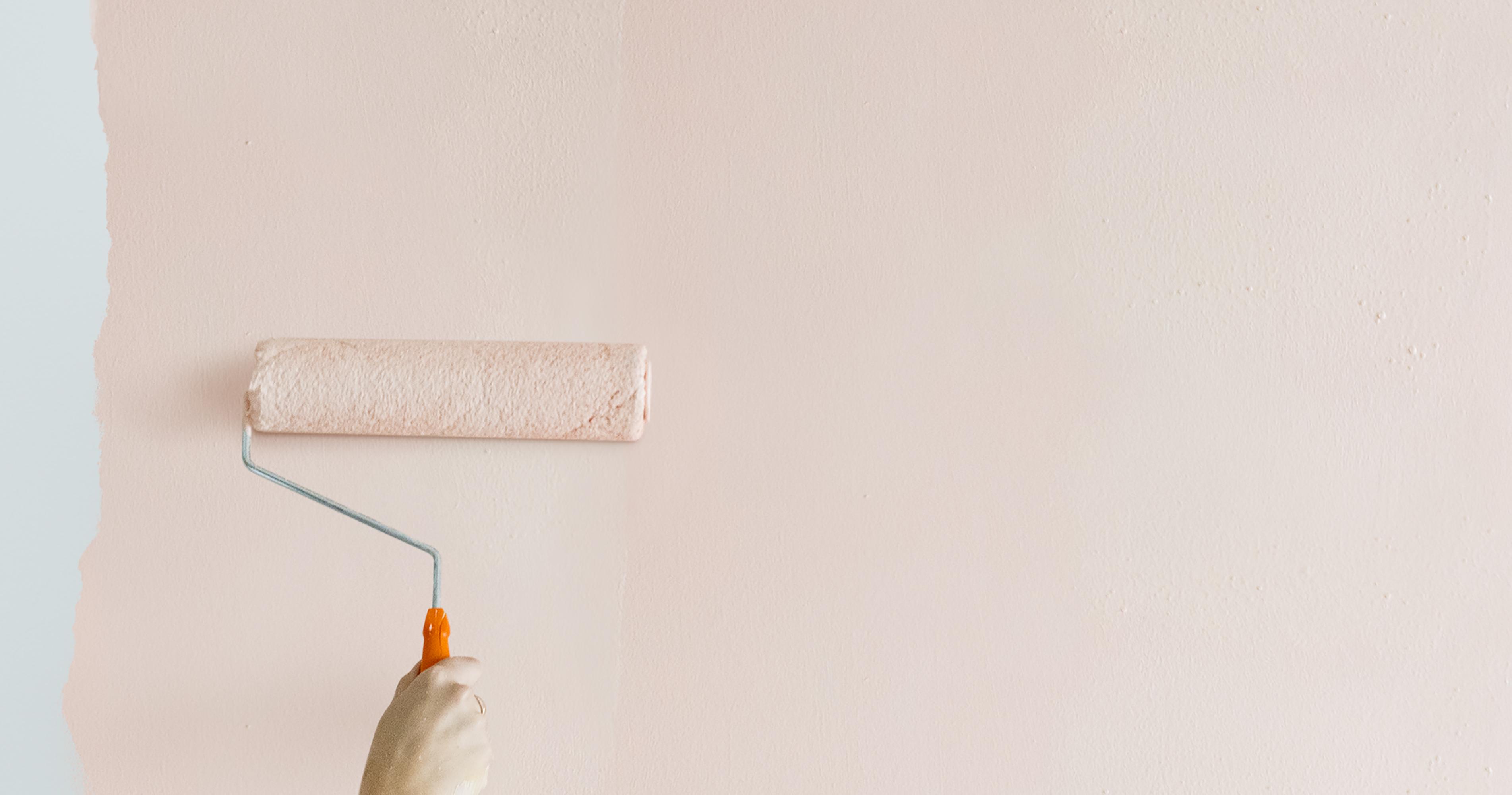 Rénovation des murs et peinture